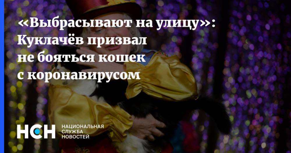 «Выбрасывают на улицу»: Куклачёв призвал не бояться кошек с коронавирусом - nsn.fm - Россия