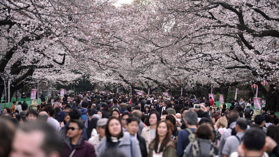 В Японии начнут выплачивать туристам деньги за посещение страны - gazeta.ru - Япония