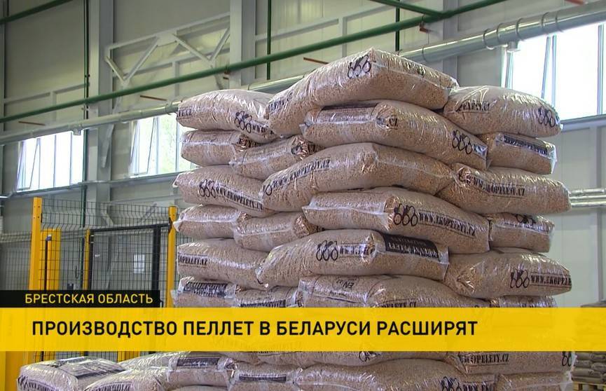 В Беларуси активно развивают производство пеллет: почему это выгодно? - ont.by - Белоруссия