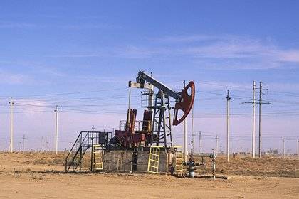 Оценены запасы нефти и газа в России - lenta.ru - Россия