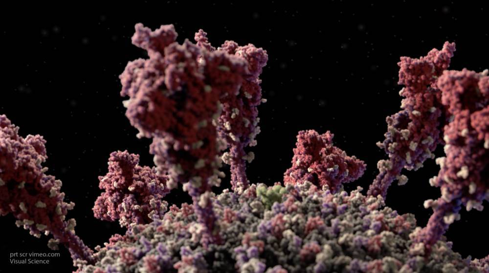 Ученые из США нашли антитела, способные убить коронавирус - nation-news.ru - Сша - Нью-Йорк