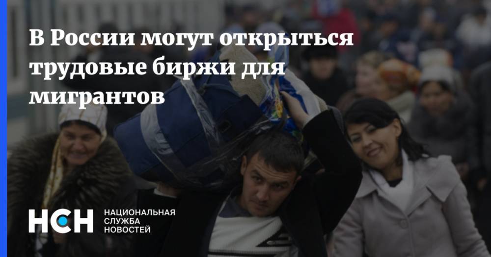 В России могут открыться трудовые биржи для мигрантов - nsn.fm - Россия