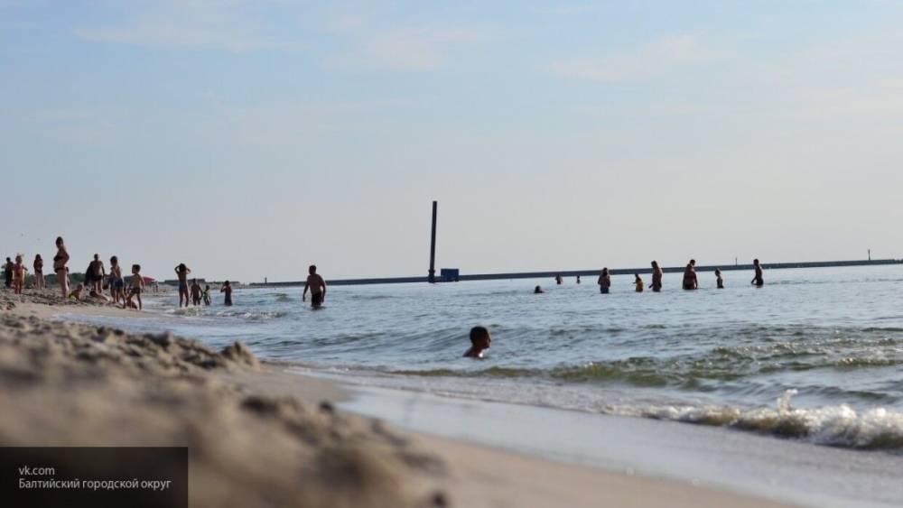 Госдума объявила возможную дату начала работы пляжей в России - inforeactor.ru - Россия