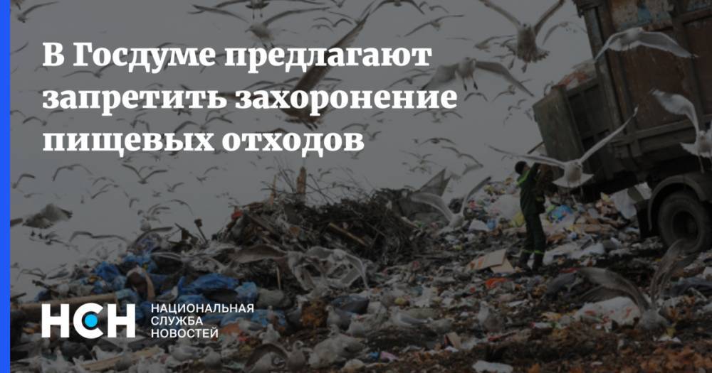 Сергей Вострецов - В Госдуме предлагают запретить захоронение пищевых отходов - nsn.fm
