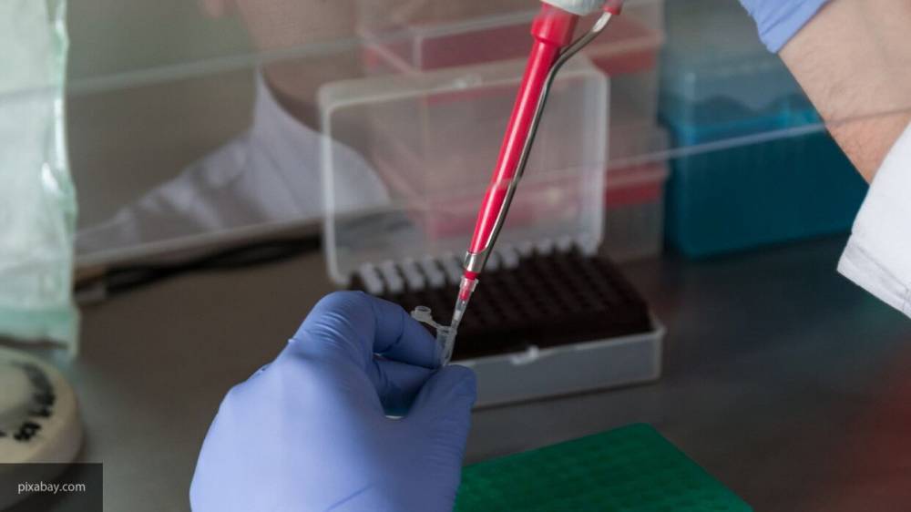Более 10 миллионов тестов на коронавирус провели в России - nation-news.ru - Россия