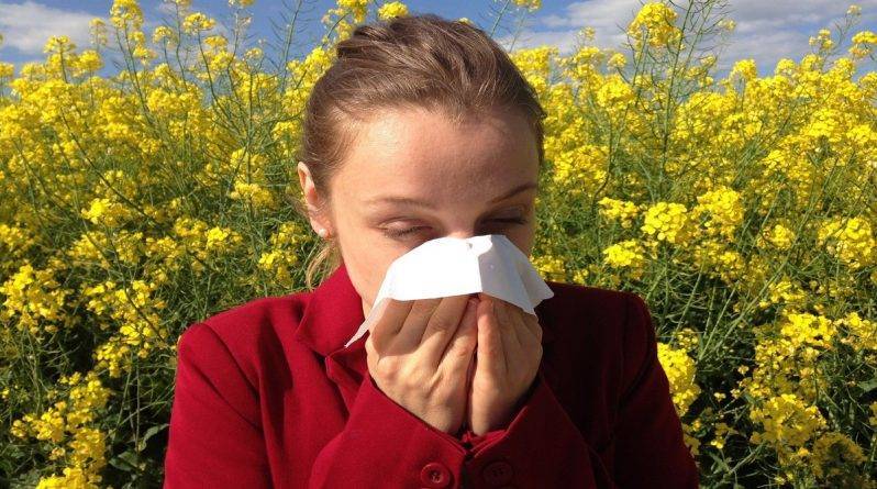 Как отличить сезонную аллергию от коронавируса - usa.one - Сша