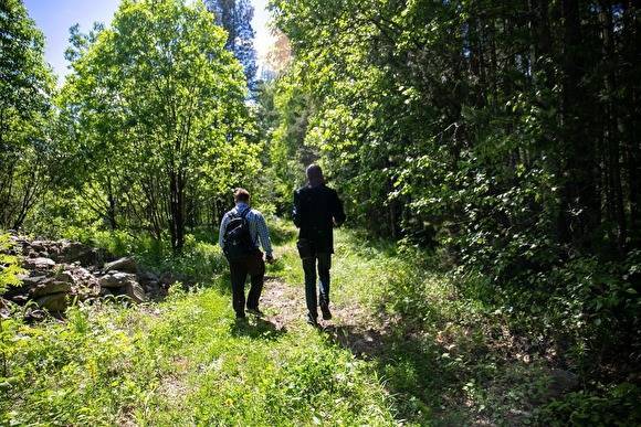 Тюменские власти разрешили людям с 30 мая посещать леса - znak.com