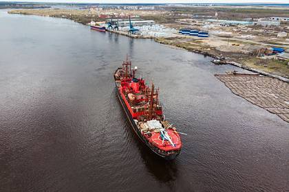 В России допустили возобновление морских экспедиций - lenta.ru - Россия