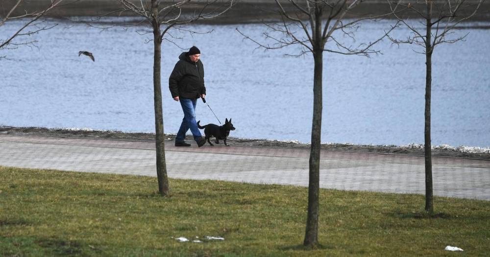Алексей Немерюк - Москвичи с июня смогут гулять с собаками на расстоянии до 2 км от дома - ren.tv - Москва