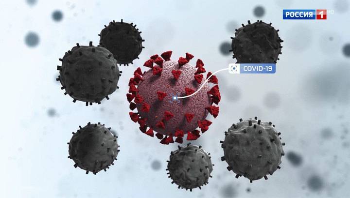 БЦЖ против COVID-19: что нового ученые узнали о коронавирусе - vesti.ru - Россия - Швейцария