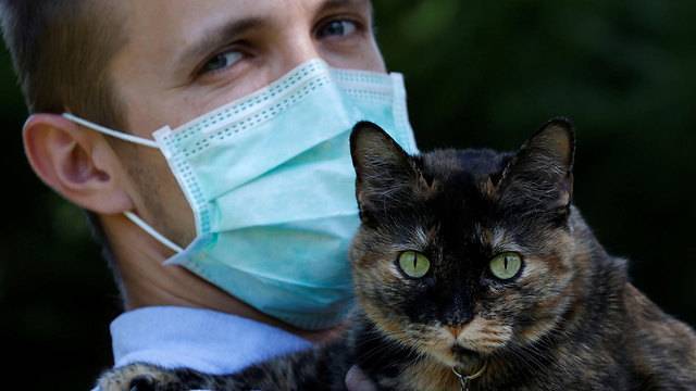 Во Франции кошка выздоровела от коронавируса, которым заразилась от владельцев - usa.one - Франция