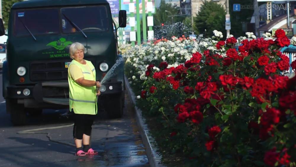 Глава администрации Луганска рассказал, как проходит озеленение города - riafan.ru - Ссср - Лнр - Луганск