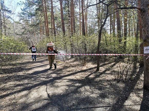 Шарташский лесопарк в Екатеринбурге начали обрабатывать от клещей - znak.com - Екатеринбург