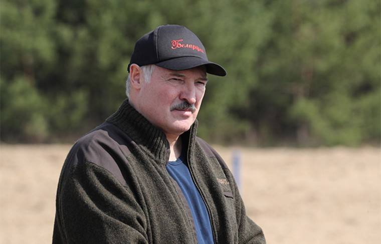 Игорь Додон - Лукашенко оценил ситуацию с коронавирусом в стране как «нормальную» - news.ru - Ссср - Белоруссия - Молдавия