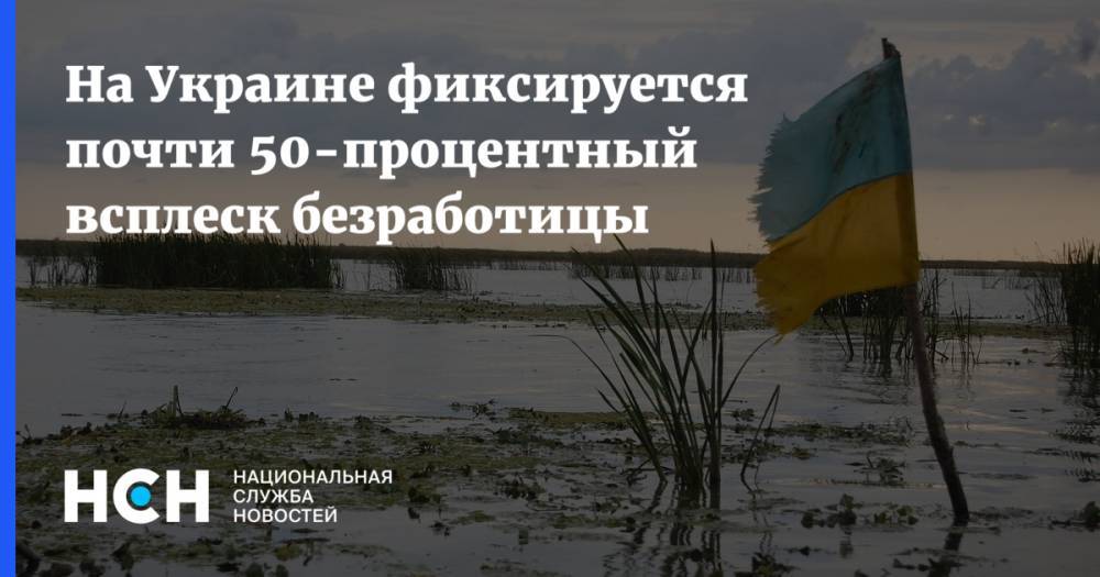 На Украине фиксируется почти 50-процентный всплеск безработицы - nsn.fm - Украина