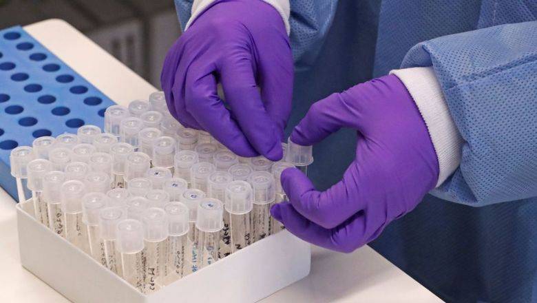 Россия отправит в Конго тысячи тест-систем, чтобы диагностировать коронавирус - newizv.ru - Россия - Конго - Гвинея