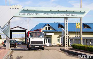 На Витебской бройлерной птицефабрике разрастается очаг коронавируса - charter97.org