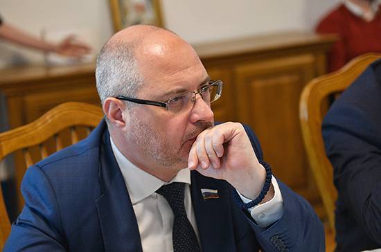 Сергей Гаврилов - Гаврилов назвал выводы, которые нужно сделать из трагедии SSJ-100 в Шереметьево - pnp.ru