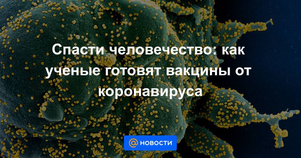 Спасти человечество: как ученые готовят вакцины от коронавируса - news.mail.ru