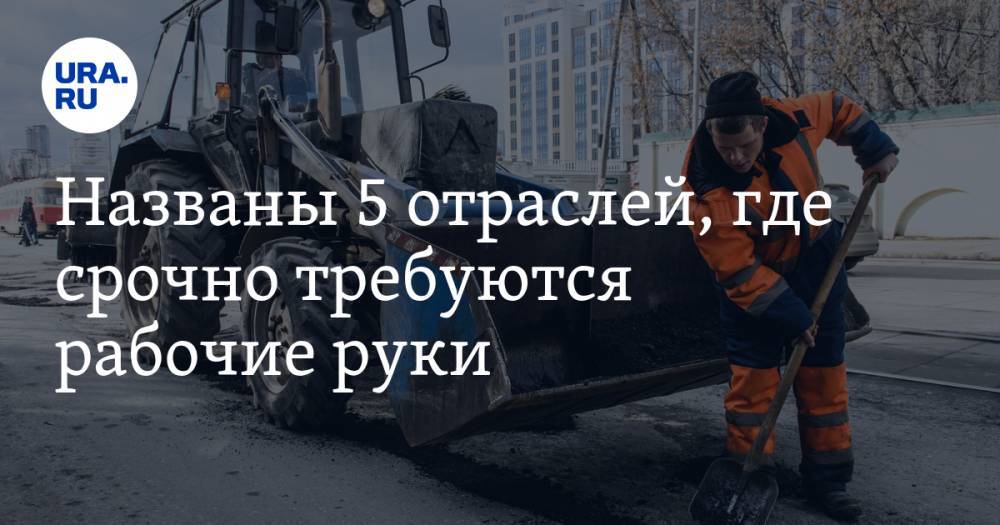 Названы 5 отраслей, где срочно требуются рабочие руки - ura.news - Россия