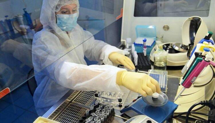 Дмитрий Лопатин - На Кубани разработали нанонити, способные сдерживать распространение коронавируса - newtvnews.ru - Краснодарский край