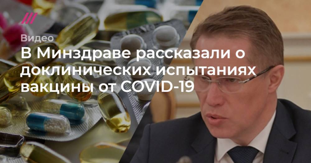 В Минздраве рассказали о доклинических испытаниях вакцины от COVID-19 - tvrain.ru