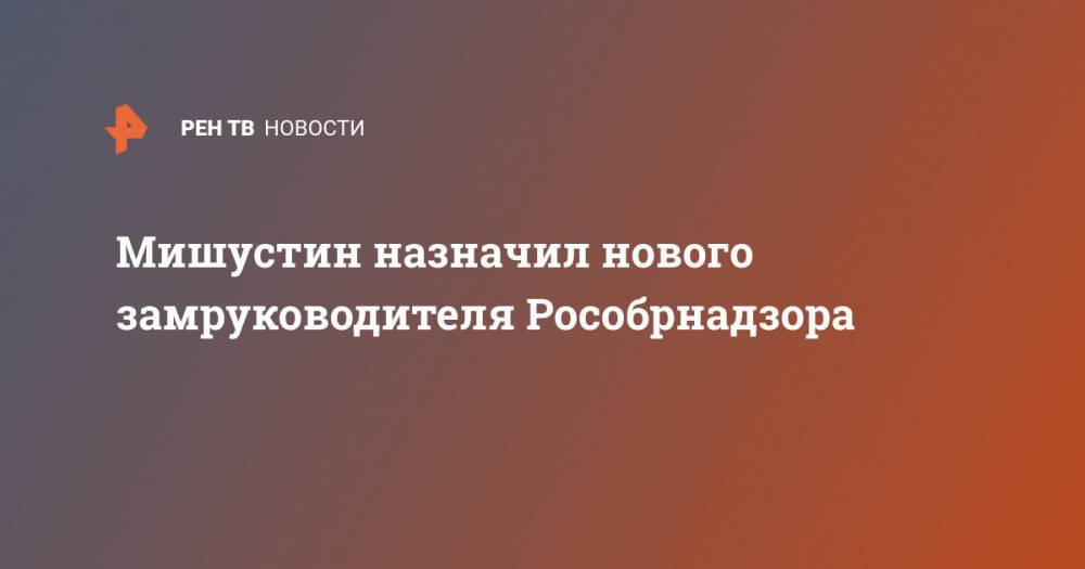 Михаил Мишустин - Мишустин назначил нового замруководителя Рособрнадзора - ren.tv - Россия