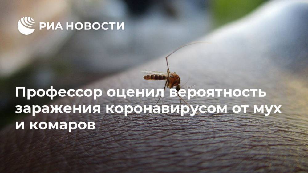 Анатолий Альтштейн - Профессор оценил вероятность заражения коронавирусом от мух и комаров - ria.ru - Россия - Москва