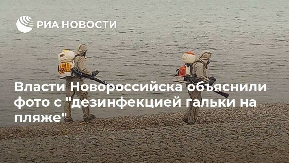 Власти Новороссийска объяснили фото с "дезинфекцией гальки на пляже" - ria.ru - Краснодар - Новороссийск