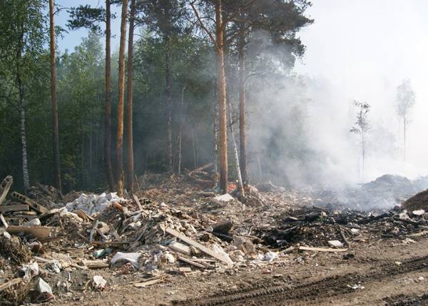 Путин поручил ужесточить ответственность за лесные пожары - nakanune.ru - Россия