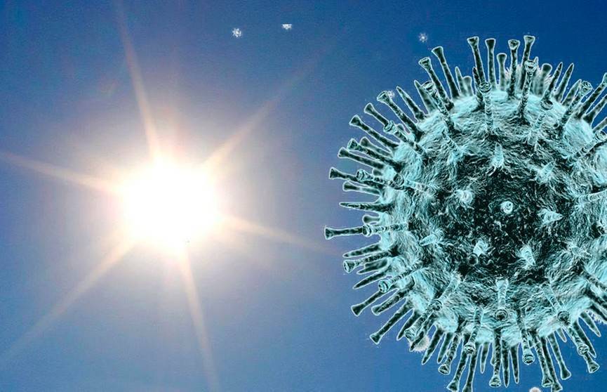 Оценена опасность распространения коронавируса при жаркой погоде - ont.by
