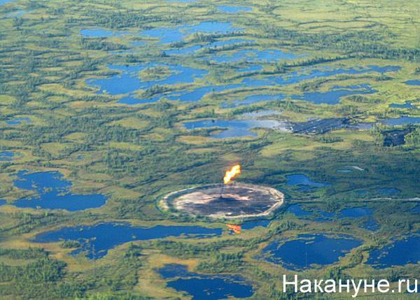 На Ямале продолжается резкий рост заболеваемости на месторождениях - nakanune.ru - Ноябрьск - Салехард