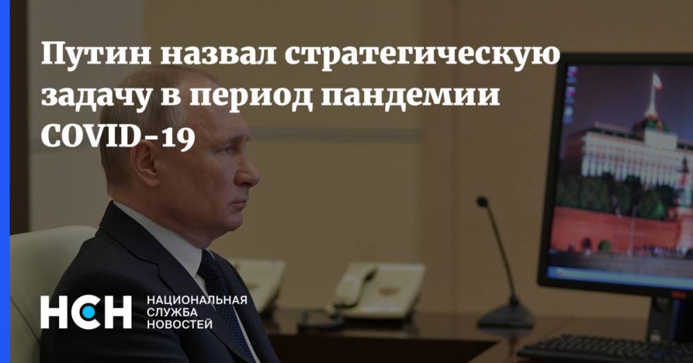 Владимир Путин - Путин назвал стратегическую задачу в период пандемии COVID-19 - nsn.fm - Россия