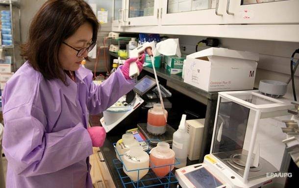 Ученые нашли новые разновидности коронавируса - korrespondent.net - Сша - Южная Корея