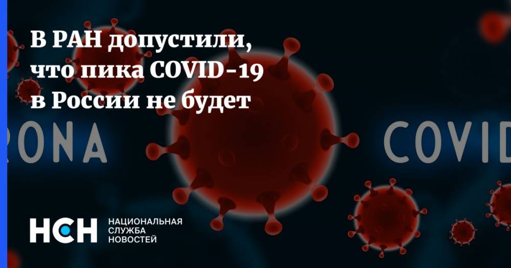 Василий Акимкин - В РАН допустили, что пика COVID-19 в России не будет - nsn.fm - Россия