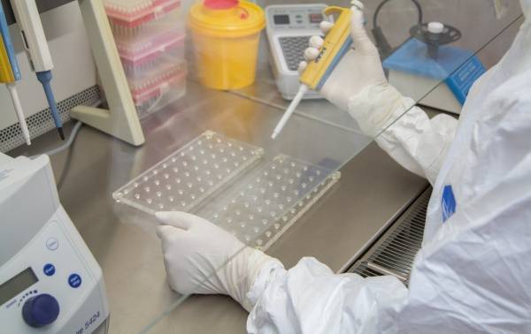 В Китае заявили о появлении нового коронавируса еще осенью 2019 года - nakanune.ru - Китай