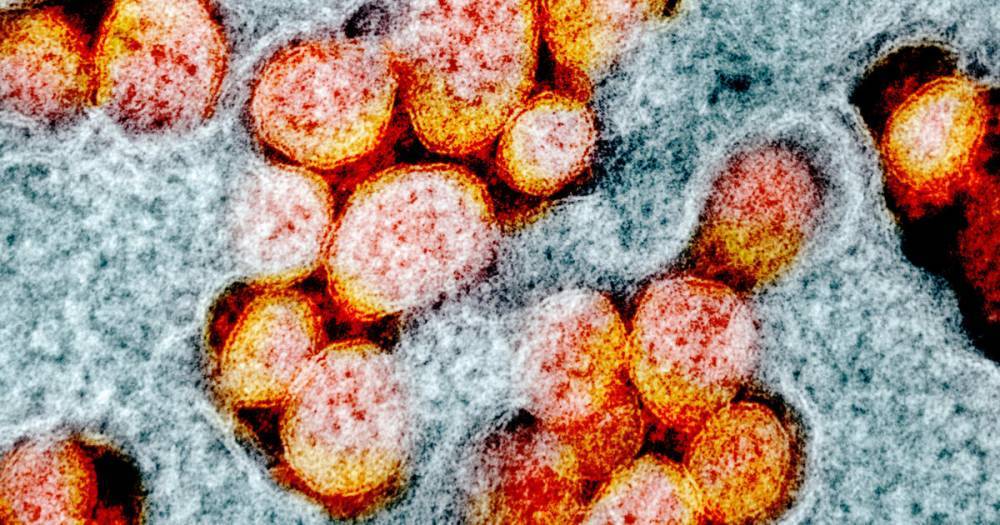 Через постель: ученые нашли новый путь распространения коронавируса - ren.tv
