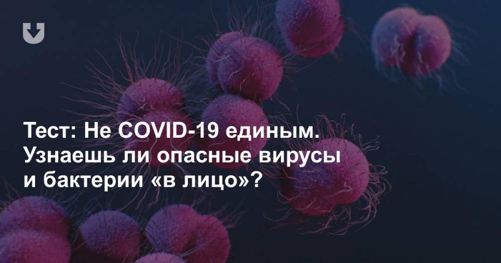 Тест: Не COVID-19 единым. Узнаешь ли опасные вирусы и бактерии «в лицо»? - news.tut.by - Белоруссия - Минздрав