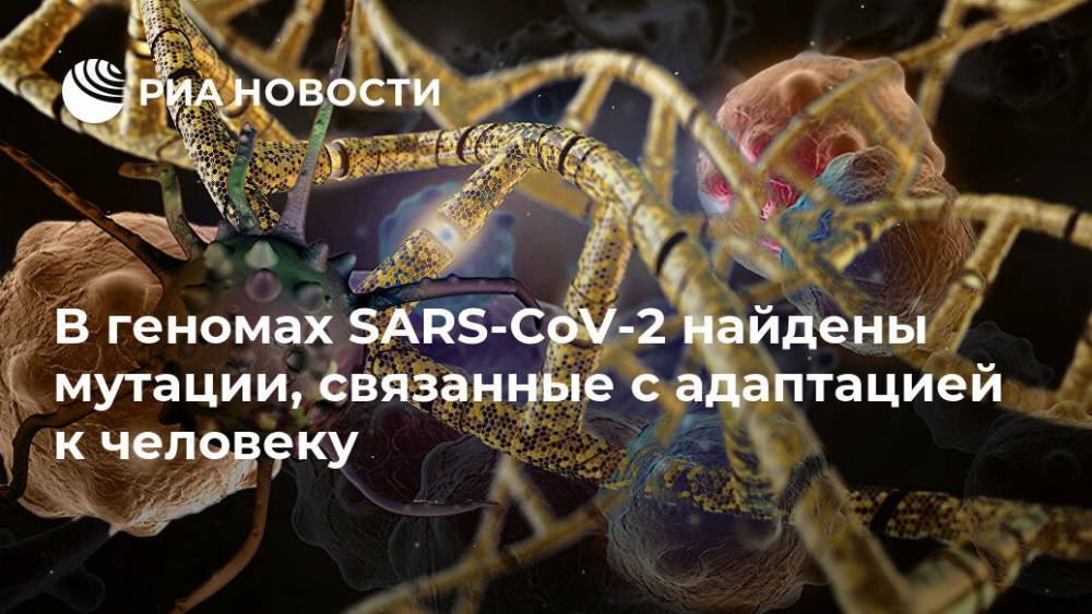 В геномах SARS-CoV-2 найдены мутации, связанные с адаптацией к человеку - ria.ru - Москва