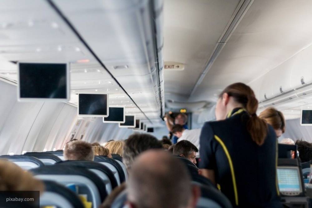 Бортпроводница назвала места в самолете с самым большим количеством бактерий - inforeactor.ru