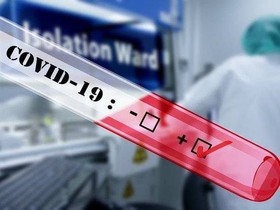 Число заразившихся COVID-19 в мире превысило 4 млн - newtvnews.ru - Сша