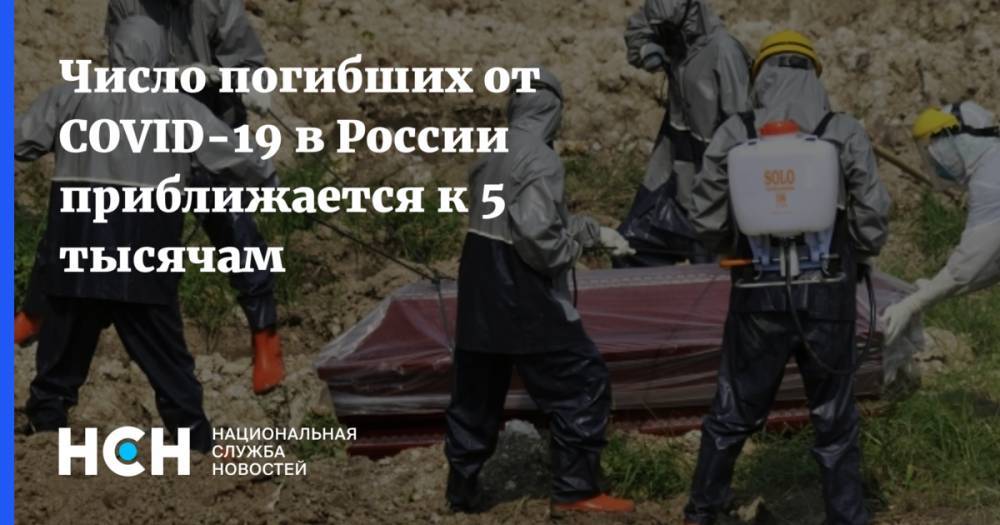Число погибших от COVID-19 в России приближается к 5 тысячам - nsn.fm - Россия