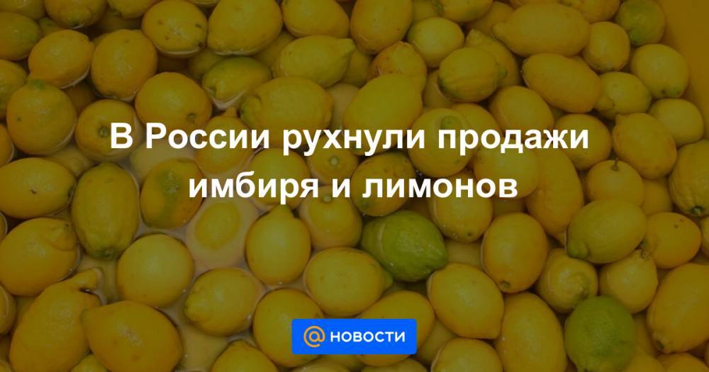 В России рухнули продажи имбиря и лимонов - news.mail.ru - Россия - Москва