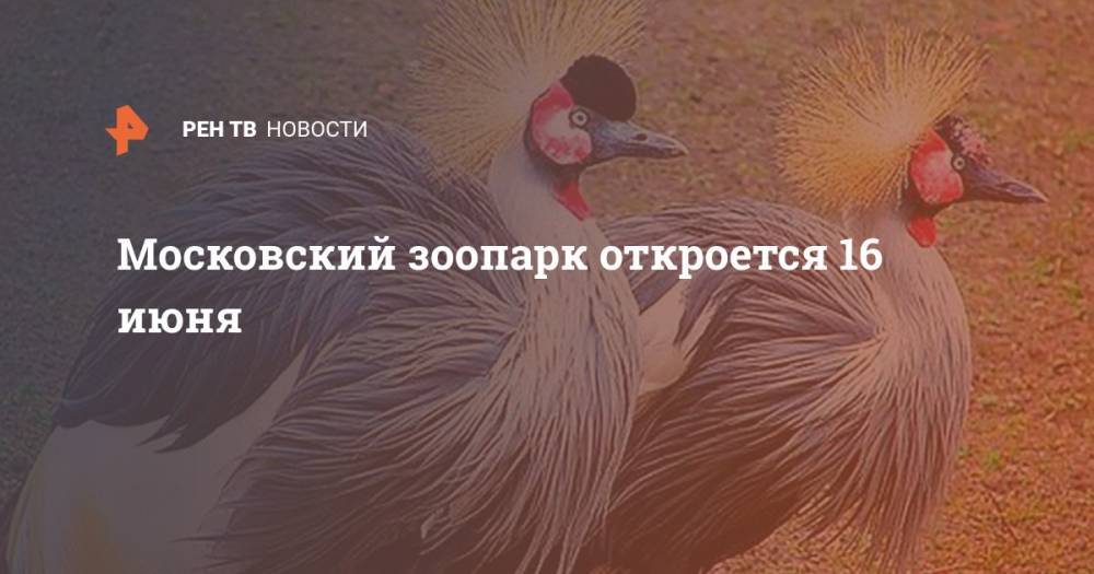 Московский зоопарк откроется 16 июня - ren.tv - Москва