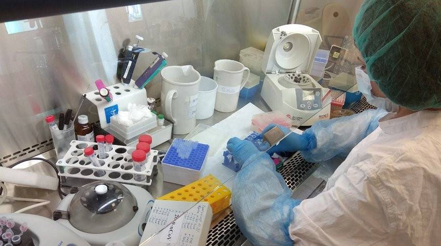 РНПЦ эпидемиологии и микробиологии использует облачные сервисы для изучения коронавируса COVID-19 - belta.by