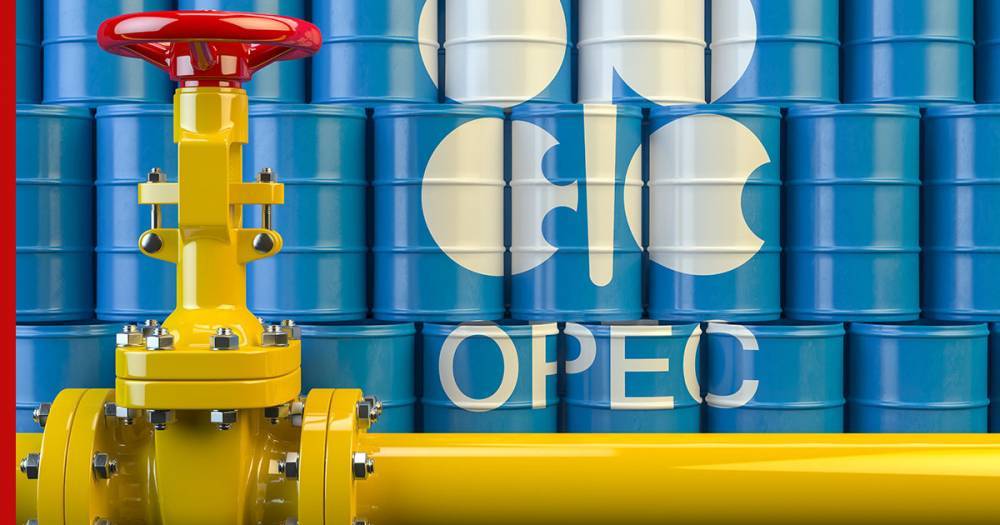 Картельный интерес: способна ли сделка ОПЕК+ поднять цены на нефть до $50 - profile.ru
