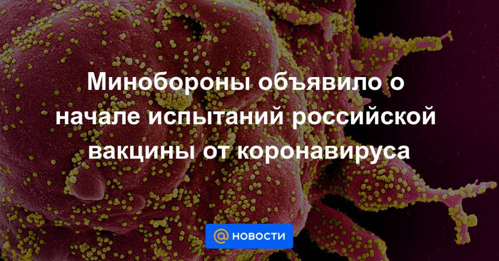 Минобороны объявило о начале испытаний российской вакцины от коронавируса - news.mail.ru