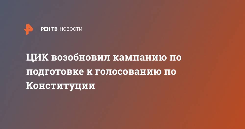 Владимир Путин - ЦИК возобновил кампанию по подготовке к голосованию по Конституции - ren.tv