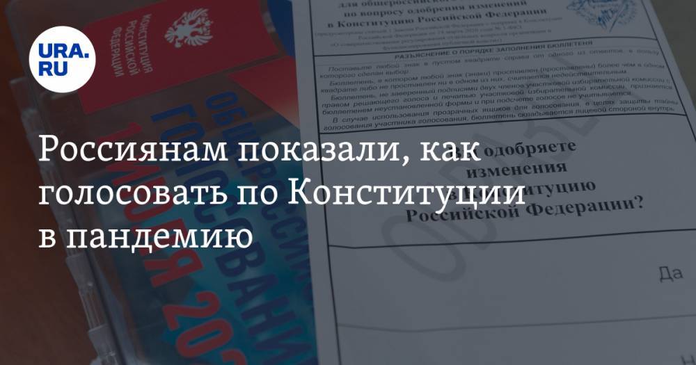 Антон Белицкий - Россиянам показали, как голосовать по Конституции в пандемию - ura.news - Россия