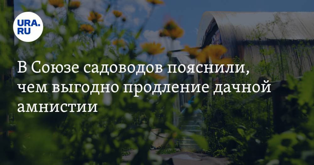 В Союзе садоводов пояснили, чем выгодно продление дачной амнистии - ura.news - Россия - Москва